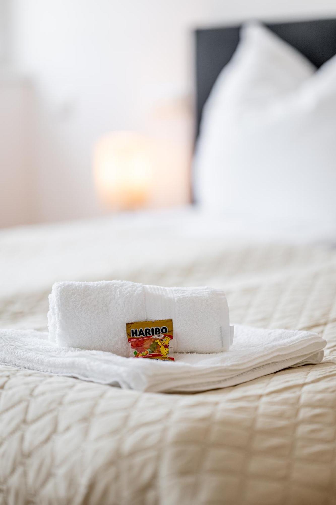 Luxury Sedda Bed, Nespresso, Netflix Apartman Linz Kültér fotó